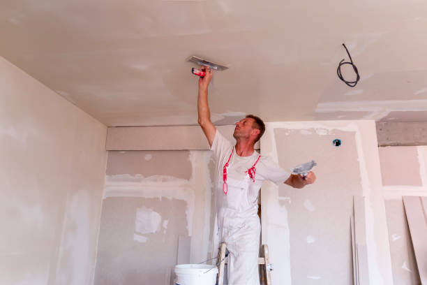 Best Fire-Damaged Drywall Repair  in Gillett, WI